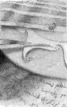 Art Page