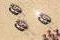 Dune 2000: Light Tanks